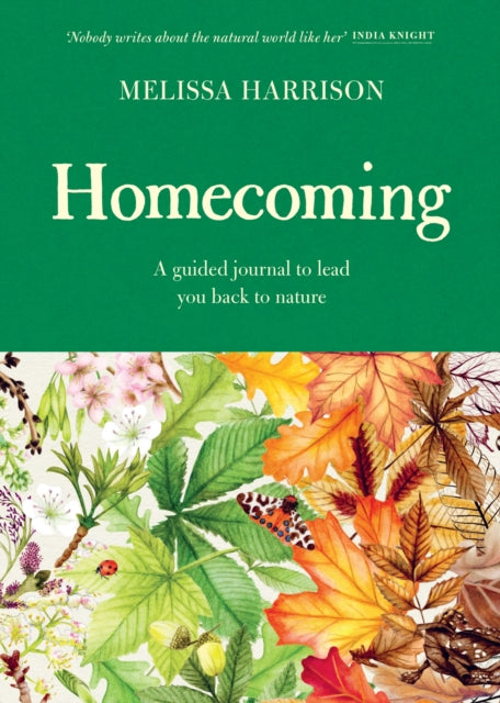 Homecoming : A Guided Journal to Lead You Back to Nature by Melissa Harrison 9781399618779