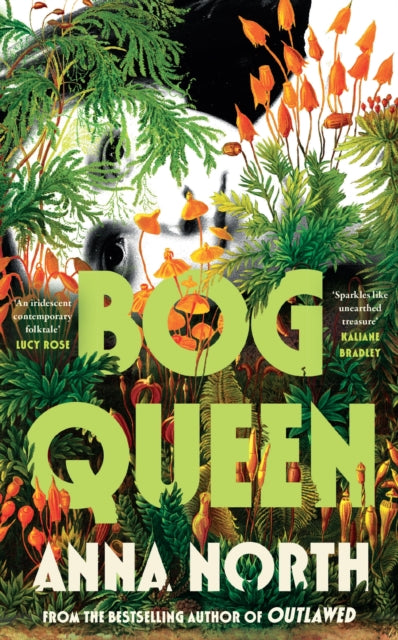 Bog Queen by Anna North 9781399629942
