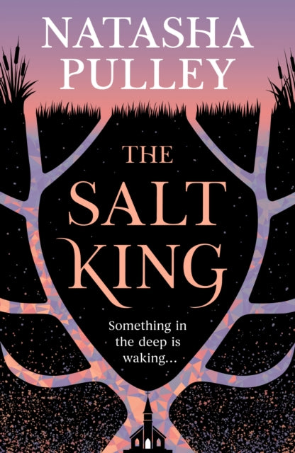 The Salt King : An end of the world thriller, packed with dazzling wit and romance by Natasha Pulley 9781399632966