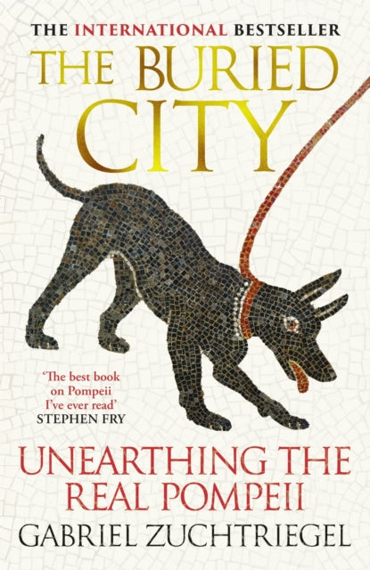 The Buried City : Unearthing the Real Pompeii by Gabriel Zuchtriegel 9781399731171
