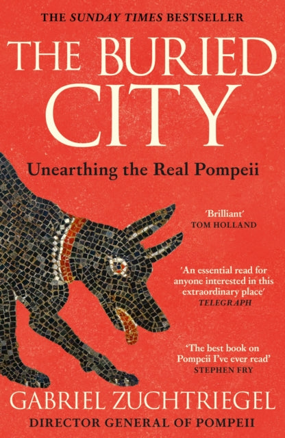 The Buried City : The Revelatory New History from the Director of Pompeii - a Sunday Times Bestseller by Gabriel Zuchtriegel 9781399731195
