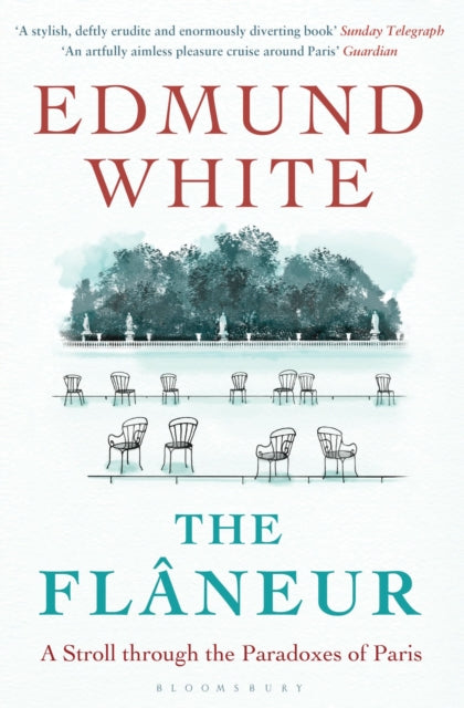 The Flaneur by Edmund White 9781408864760
