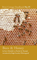 Bees & Honey : River Cottage Handbook No.19 by Rachel de Thample 9781408873557
