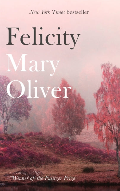 Felicity by Mary Oliver 9781472153739
