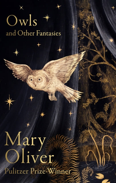 Owls and Other Fantasies by Mary Oliver 9781472160935