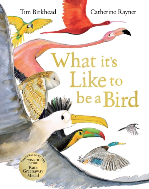 What it's Like to be a Bird by Tim Birkhead 9781526604125