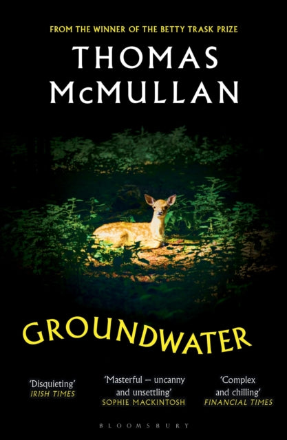 Groundwater : `Complex, chilling, masterful' Financial Times by Thomas McMullan 9781526678003