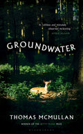 Groundwater : ‘Complex, chilling, masterful' Financial Times by Thomas McMullan 9781526678027