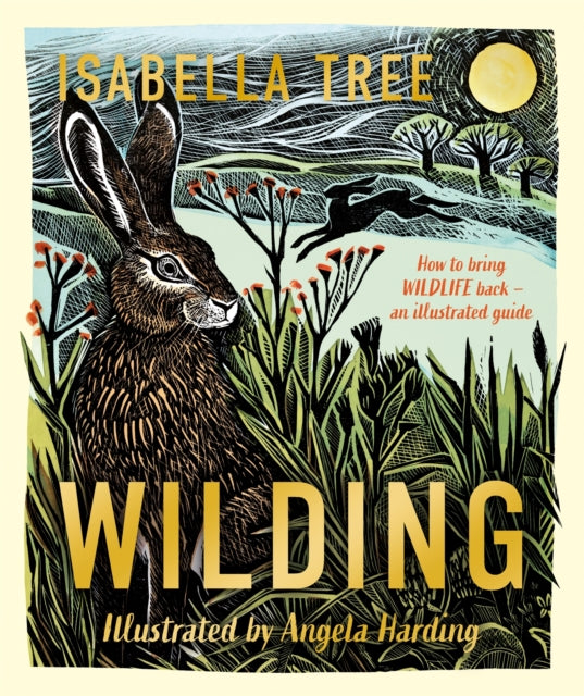 Wilding: How to Bring Wildlife Back - an Illustrated Guide by Isabella Tree 9781529092844