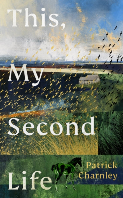 This, My Second Life by Patrick Charnley 9781529155259