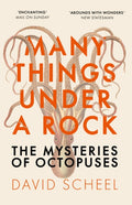 Many Things Under a Rock : The ‘mind-blowing’ book that reveals the mysteries of the octopus, perfect reading for summer 2025 by David Scheel 9781529392647