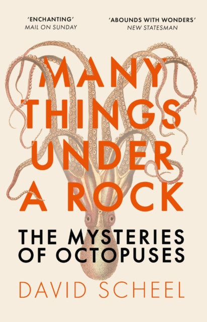 Many Things Under a Rock : The ‘mind-blowing’ book that reveals the mysteries of the octopus, perfect reading for summer 2025 by David Scheel 9781529392647