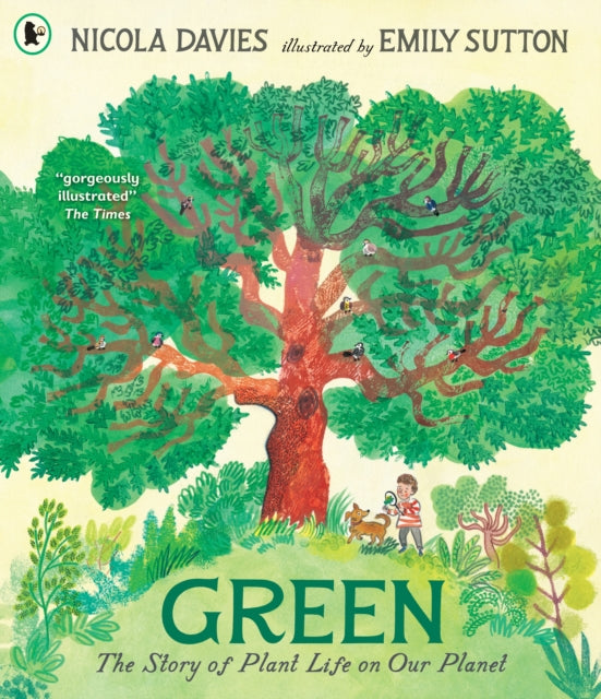 Green: The Story of Plant Life on Our Planet by Nicola Davies 9781529523591