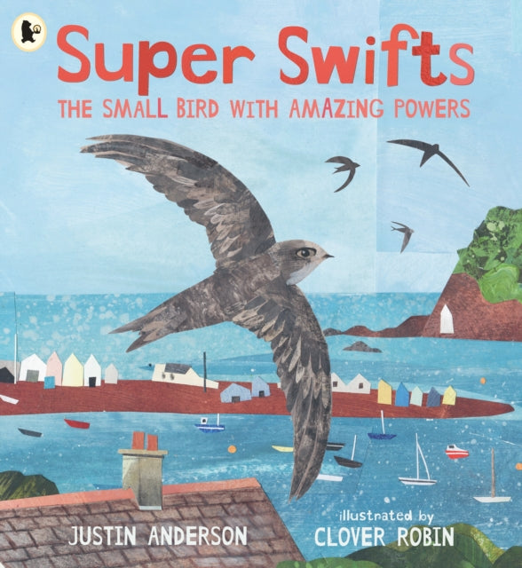 Super Swifts: The Small Bird With Amazing Powers by Justin Anderson 9781529523690