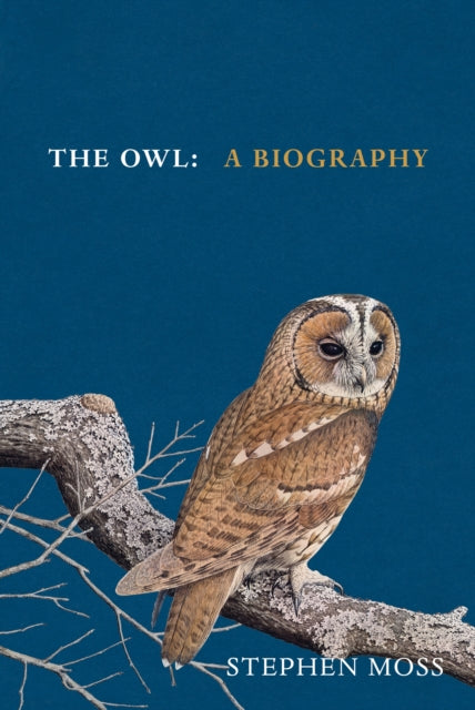 The Owl : A Biography by Stephen Moss 9781529908268