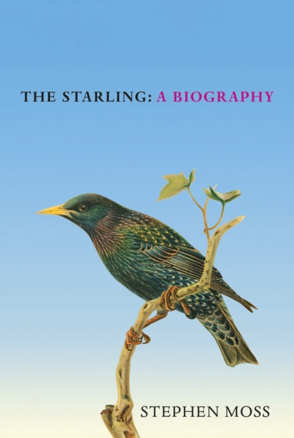 The Starling : A Biography by Stephen Moss 9781529908282