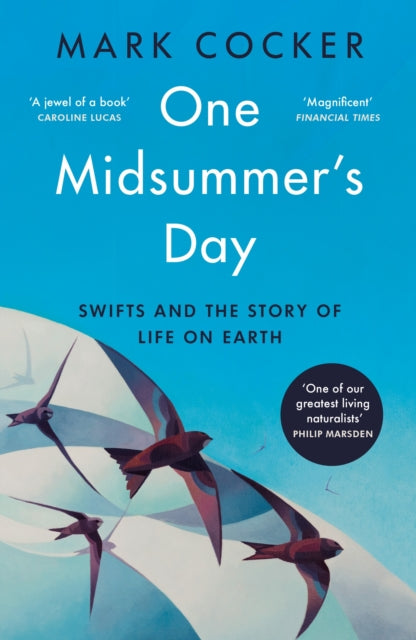 One Midsummer's Day : Swifts and the Story of Life on Earth by Mark Cocker 9781529921991