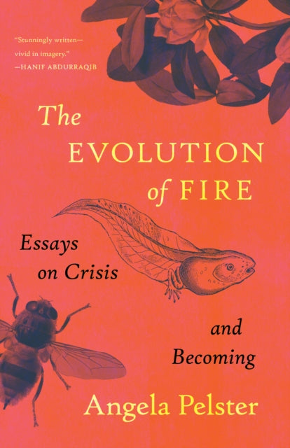 The Evolution of Fire : Essays on Crisis and Becoming by Angela Pelster 9781639551231