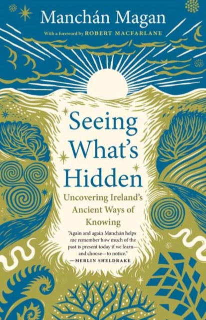 Seeing What's Hidden : Uncovering Ireland's Ancient Ways of Knowing by Manchan Magan 9781645025139