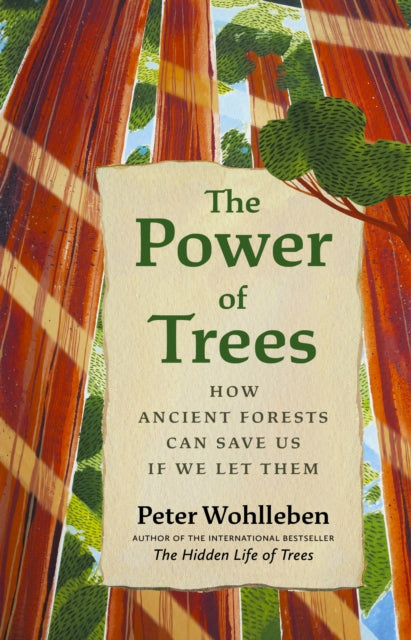 The Power of Trees : How Ancient Forests Can Save Us if We Let Them by Peter Wohlleben 9781771647748