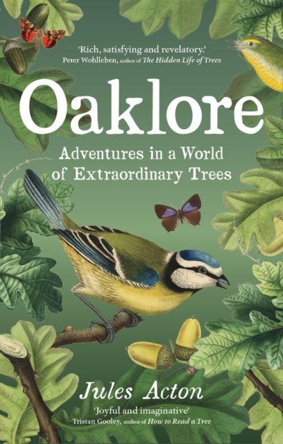 Oaklore : Adventures in a World of Extraordinary Trees by Jules Acton 9781771649667