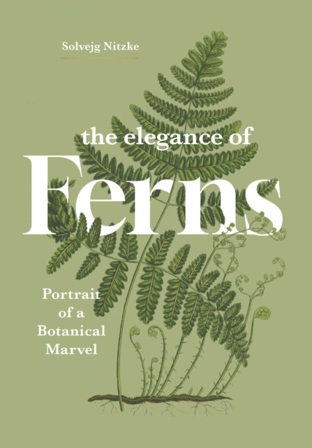 The Elegance of Ferns : Portrait of a Botanical Marvel by Solvejg Nitzke 9781778403385