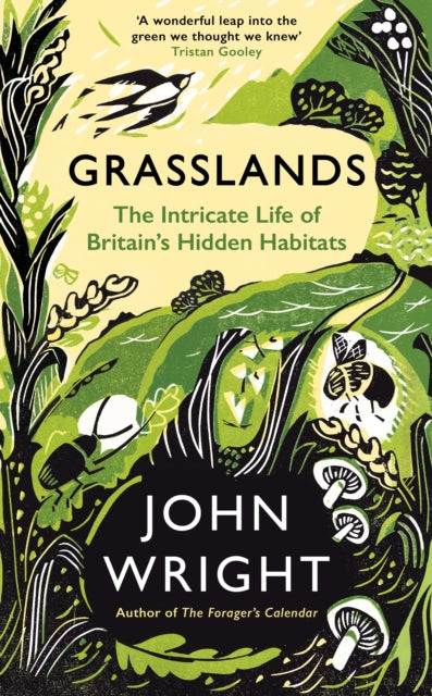 Grasslands : The Intricate Life of Britain's Hidden Habitats by John Wright 9781781258101