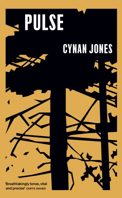 Pulse by Cynan Jones 9781783782772