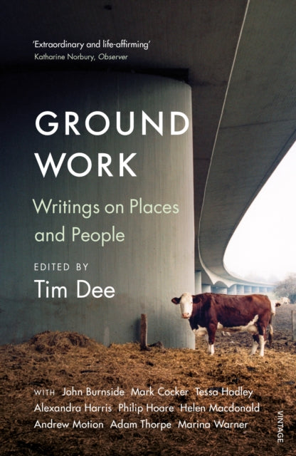 Ground Work : Writings on People and Places by Tim Dee 9781784703462