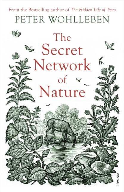 The Secret Network of Nature : The Delicate Balance of All Living Things by Peter Wohlleben 9781784708498