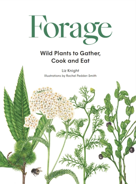 Forage : Wild plants to gather and eat by Liz Knight 9781786277350