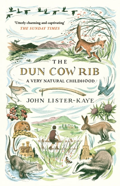 The Dun Cow Rib : A Very Natural Childhood by John Lister-Kaye 9781786891471