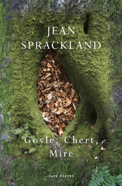 Goyle, Chert, Mire by Jean Sprackland 9781787335912