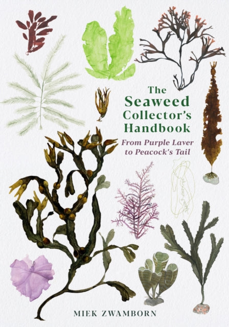 The Seaweed Collector's Handbook : From Purple Laver to Peacock’s Tail by Miek Zwamborn 9781788165471