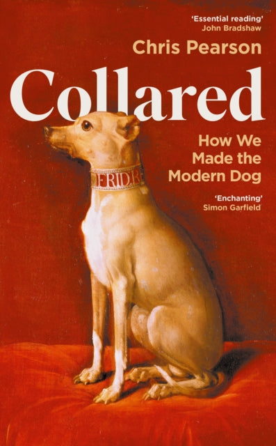 Collared : How We Made the Modern Dog by Chris Pearson 9781800816411