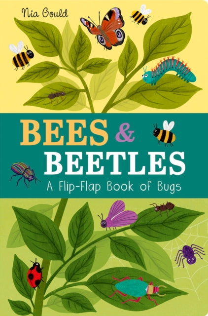 Bees & Beetles: A Flip-Flap Book of Bugs : A Flip-Flap Book of Bugs by Molly Littleboy 9781801044585