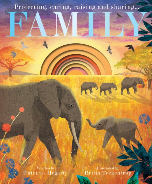 Family by Patricia Hegarty 9781801046992