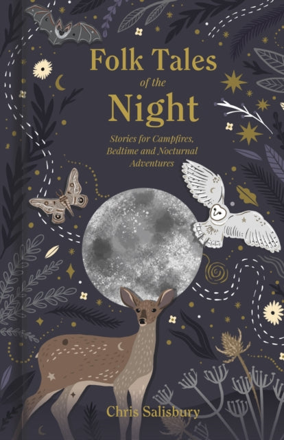 Folk Tales of the Night : Stories for Campfires, Bedtime and Nocturnal Adventures by Chris Salisbury 9781803990392