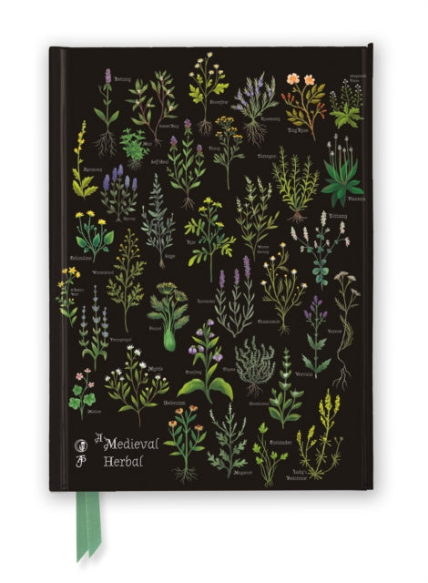 Anna Stead: A Medieval Herbal (Foiled Journal) by Flame Tree Studio 9781804179499