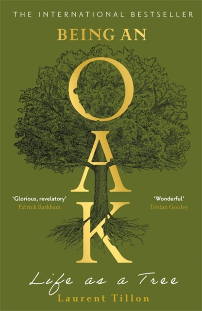 Being an Oak : Life as a tree by Laurent Tillon 9781804183410