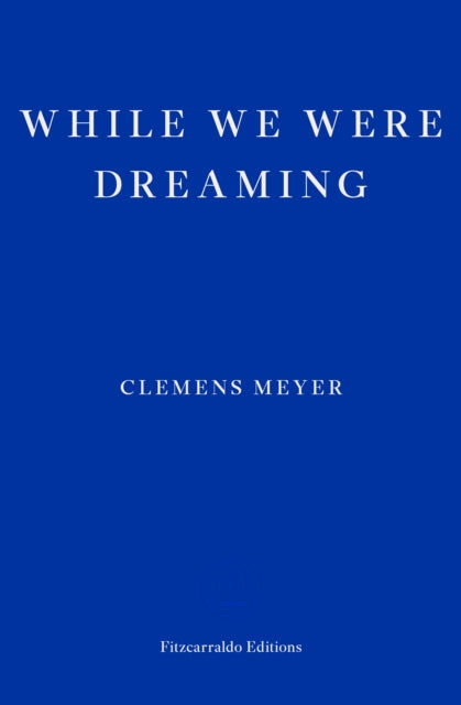 While We Were Dreaming by Katy Derbyshire 9781804270288