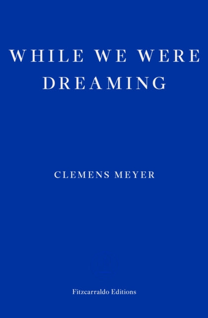 While We Were Dreaming by Clemens Meyer 9781804270288