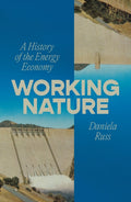 Working Nature : A History of the Energy Economy by Daniela Russ 9781804298978