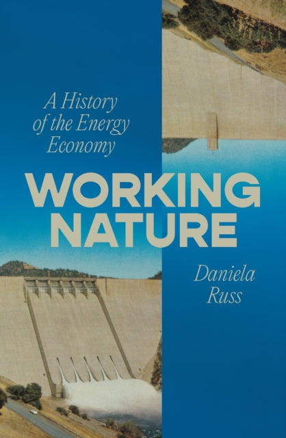 Working Nature : A History of the Energy Economy by Daniela Russ 9781804298978