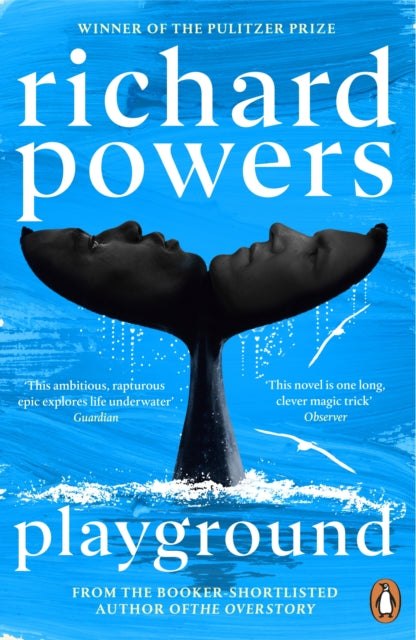 Playground by Richard Powers 9781804950821