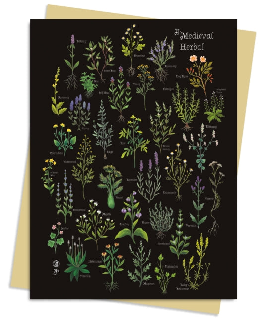 Anna Stead: A Medieval Herbal Greeting Card Pack : Pack of 6 by Flame Tree Studio 9781835621950