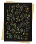 Anna Stead: A Medieval Herbal Greeting Card Pack : Pack of 6 by Flame Tree Studio 9781835621950