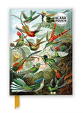Ernst Haeckel: Hummingbirds (Foiled Blank Journal) by Flame Tree Studio 9781835622100