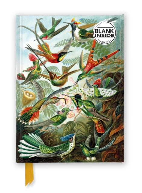 Ernst Haeckel: Hummingbirds (Foiled Blank Journal) by Flame Tree Studio 9781835622100