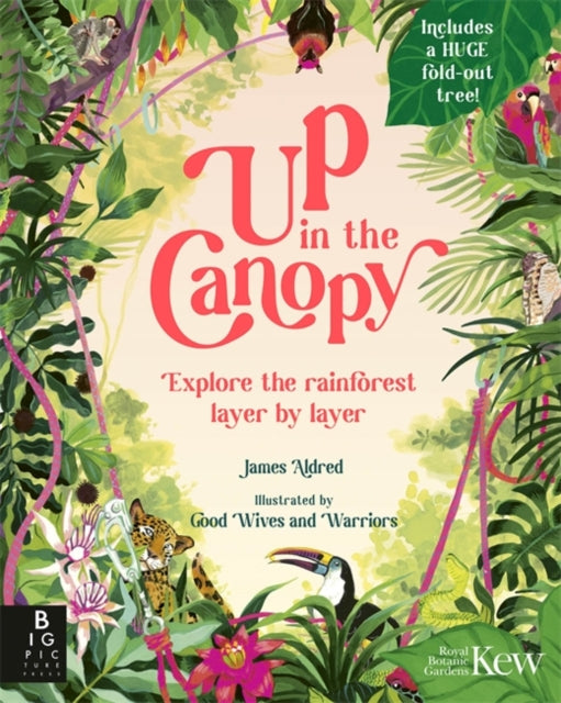 Up in the Canopy : Explore the Rainforest, Layer by Layer by James Aldred 9781835870945